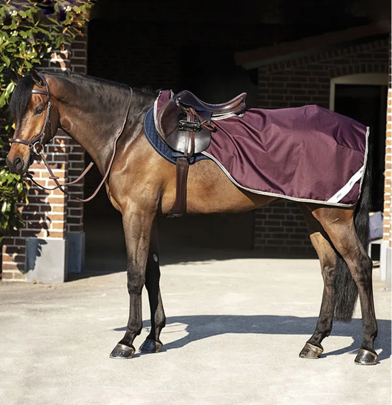 Amigo Ripstop Competition Sheet Fig/Navy and Tan